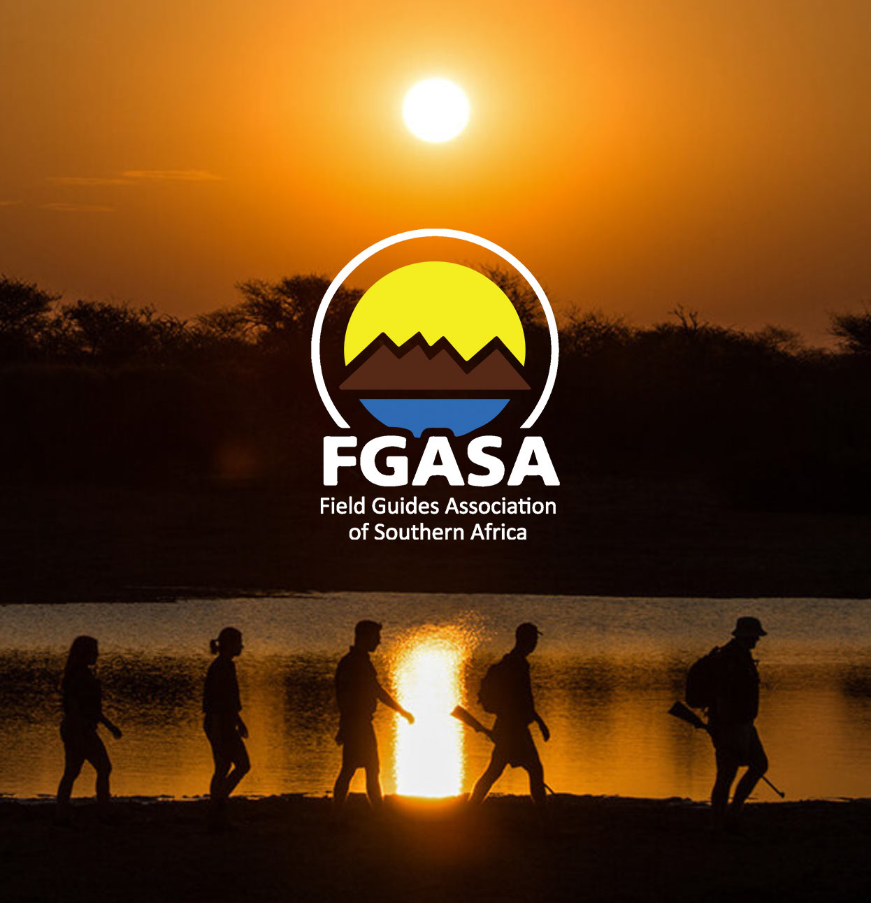 fgasa-more-field-guide-college