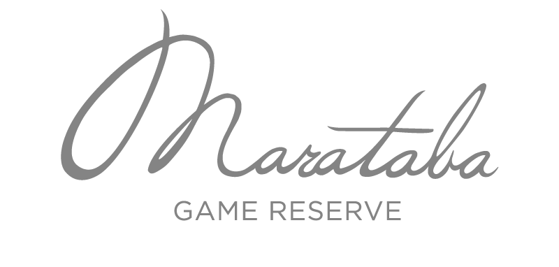 logo-marataba