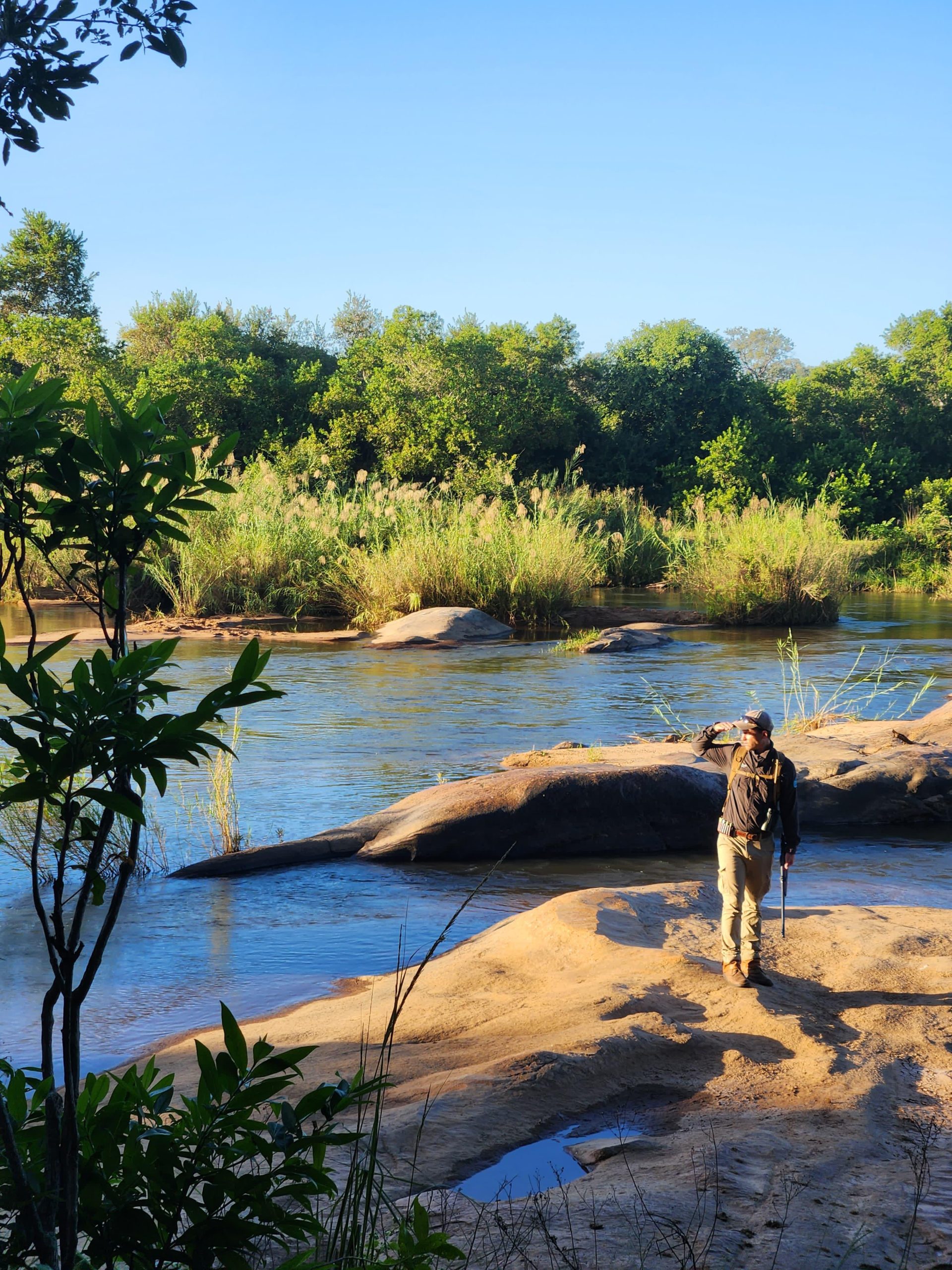 BUSH walk